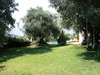 Villa Lucia 